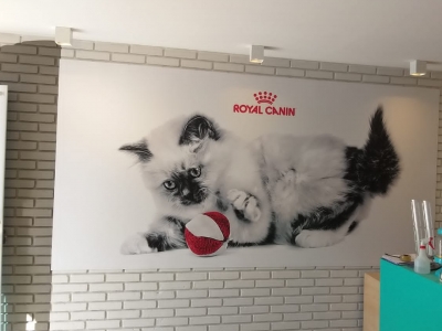 Sinalizao Interna Master Cat Royal Canin