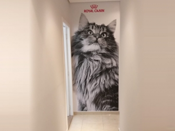 Sinalizao Interna Master Cat Royal Canin