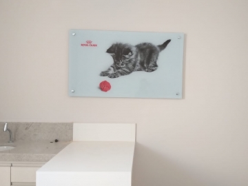 Sinalizao Interna Master Cat Royal Canin