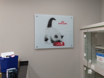 Sinalizao Interna Master Cat Royal Canin