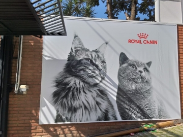 Fachada Master Cat Royal Canin