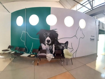 Sinalizao Interna Hospital Veterinrio UAM