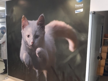 Sinalizao Interna Derme for Pets